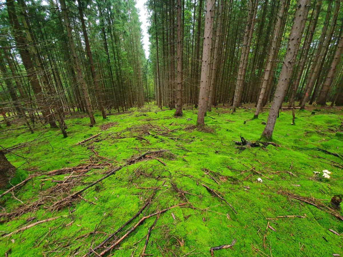 Holzhaus Am See Mit Panoramablick Trausnitz Kültér fotó