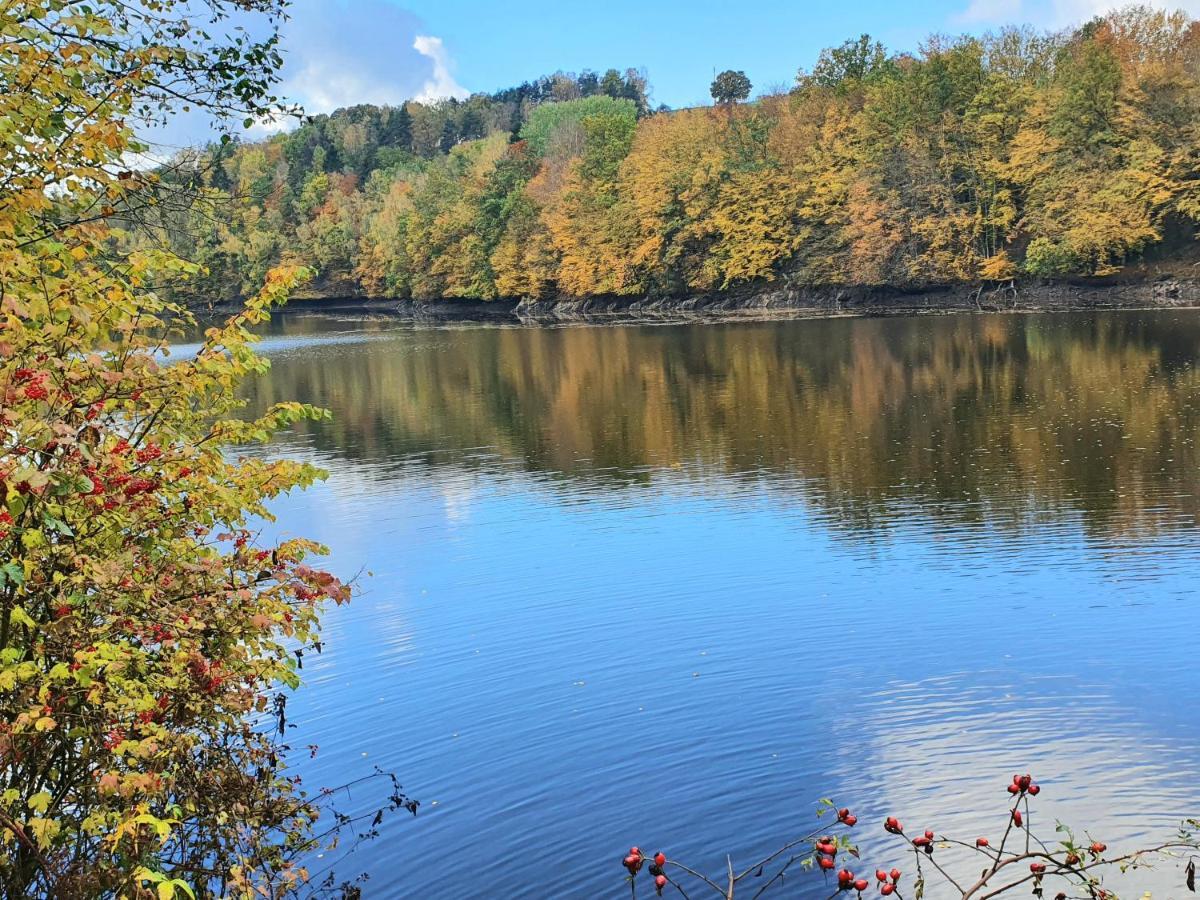 Holzhaus Am See Mit Panoramablick Trausnitz Kültér fotó